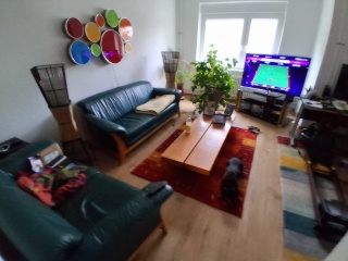 2 Zimmer Wohnung in Zehlendof, befristet — photo 1