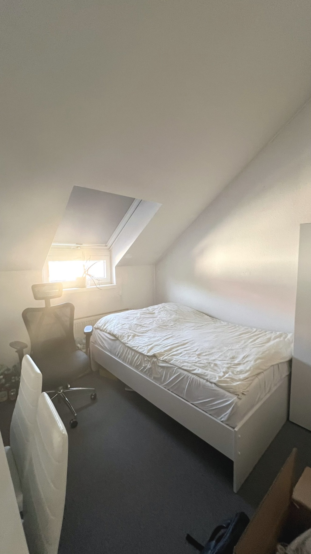 ANFRAGESTOPP – schöne Einzimmerwohnung in Jena – direkt am Wenigenjenaer Ufer – Ortsteil Wenigenjena (Jena-Ost) – ruhige und idyllische Lage – zentrumsnah – modern möbliert – 7749 Jena Jena-Ost – Vorschaubild 5