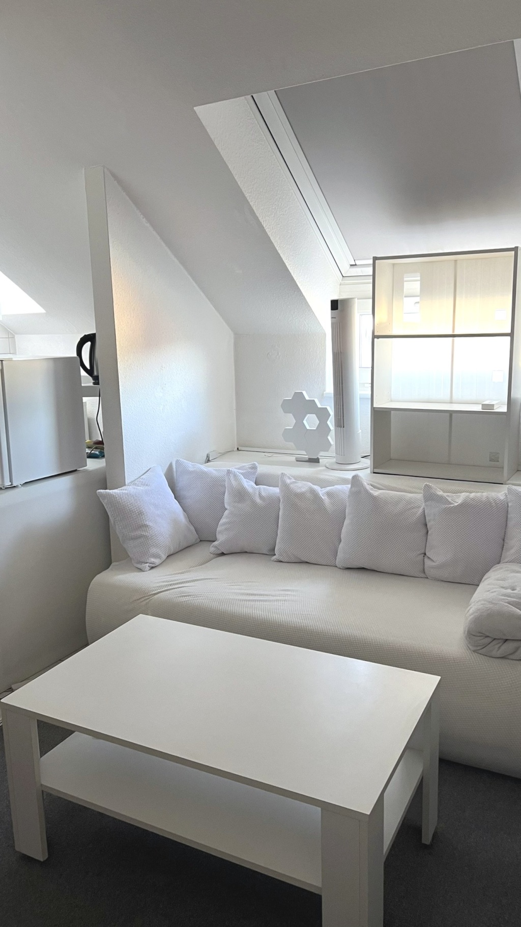 ANFRAGESTOPP – schöne Einzimmerwohnung in Jena – direkt am Wenigenjenaer Ufer – Ortsteil Wenigenjena (Jena-Ost) – ruhige und idyllische Lage – zentrumsnah – modern möbliert – 7749 Jena Jena-Ost – Vorschaubild 15