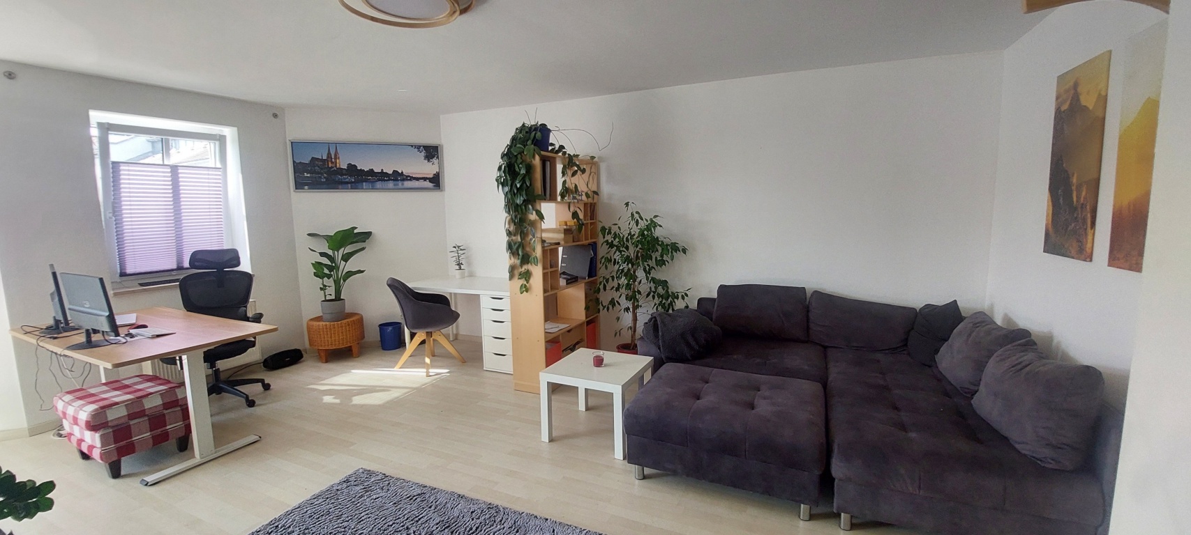 Feb + März Zwischenmiete möbeliert: Helle große ruhige zentrale 2zi Wohnung – 93049 Regensburg Westenviertel – Vorschaubild 3