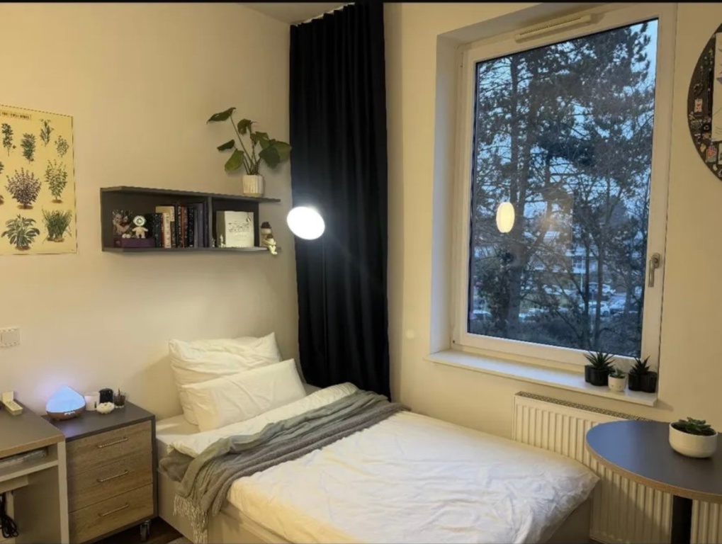 Bright 1-room apartment on the 2nd floor with elevator in Darmstadt