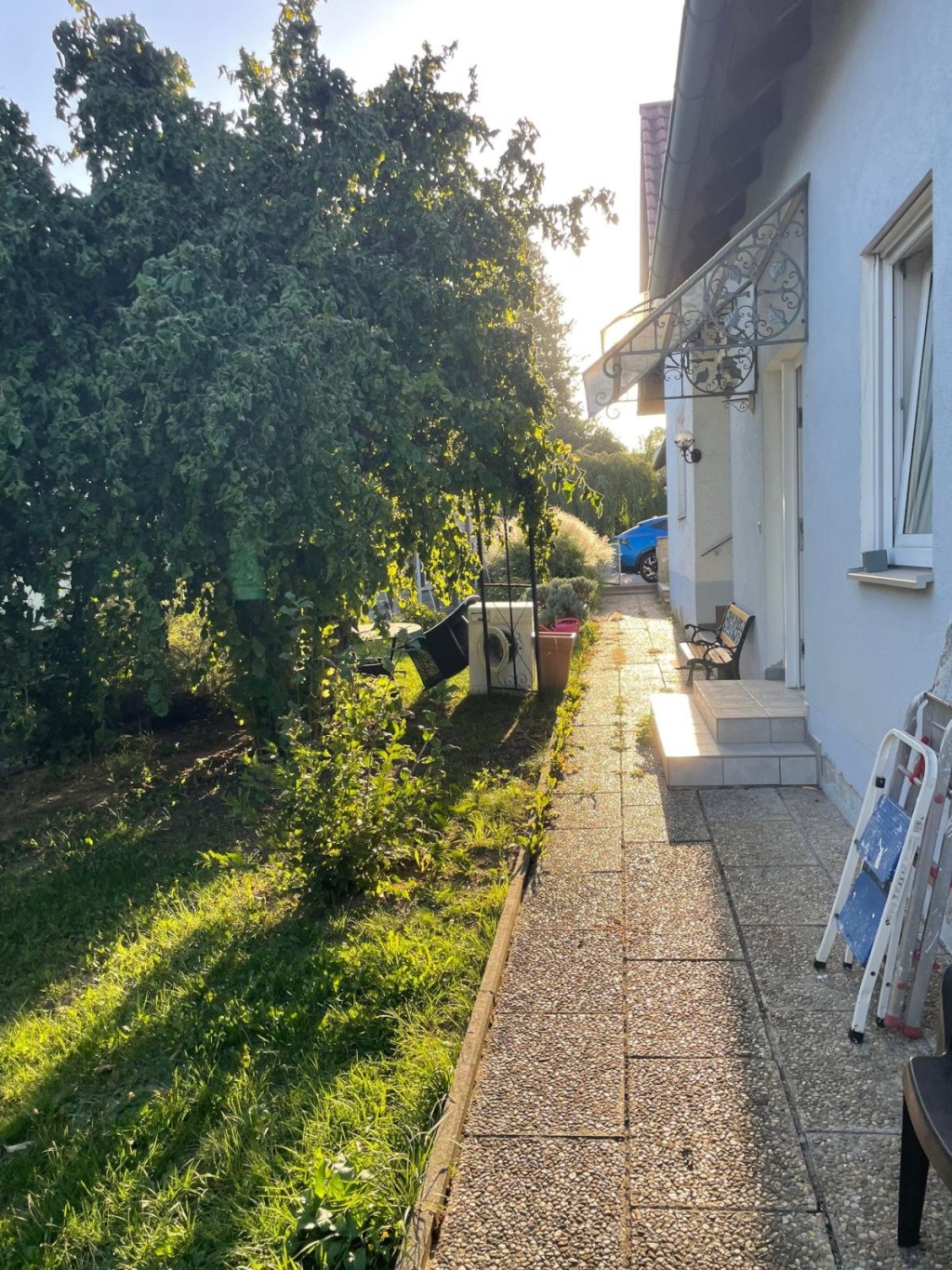 Mitbewohner:in für Haus-WG gesucht