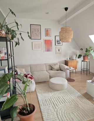 Anzeigenbild