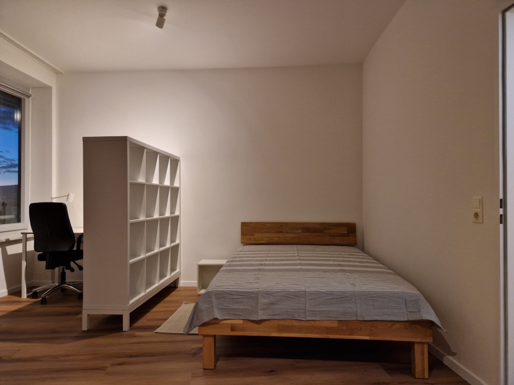 Neu renovierte, voll möblierte 1-Zi-Wohnung mit Tiefgarage – 60326 Frankfurt am Main Gallus – Vorschaubild 3