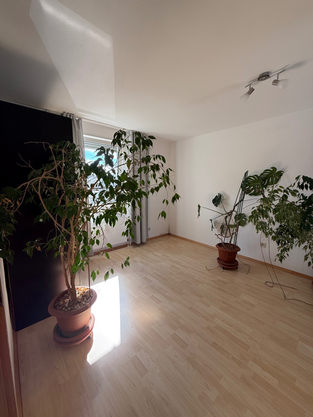 Möblierte Wohnung in Frankfurt Griesheim - befristet bis 03/2027 – 65933 Frankfurt am Main Griesheim – Vorschaubild 5