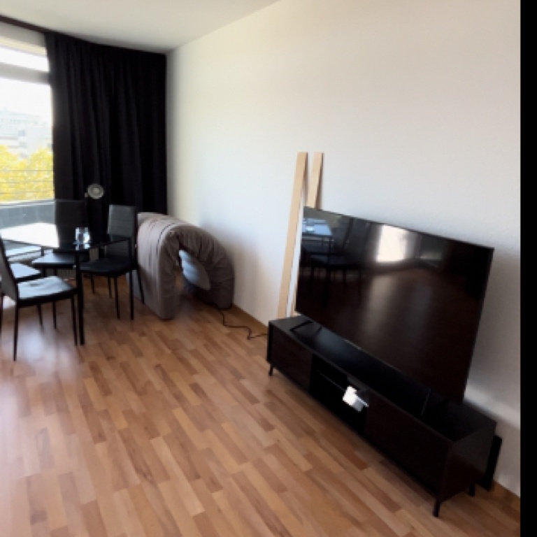 1,5 Zimmer Wohnung mit großem Balkon, Mannheim in bester Lage, 40m^2 – 68161 Mannheim Innenstadt/Oststadt – Vorschaubild 5