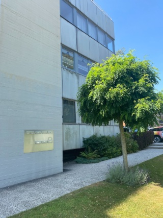 Anzeigenbild: ruhige, helle Wohnung im Hochparterre