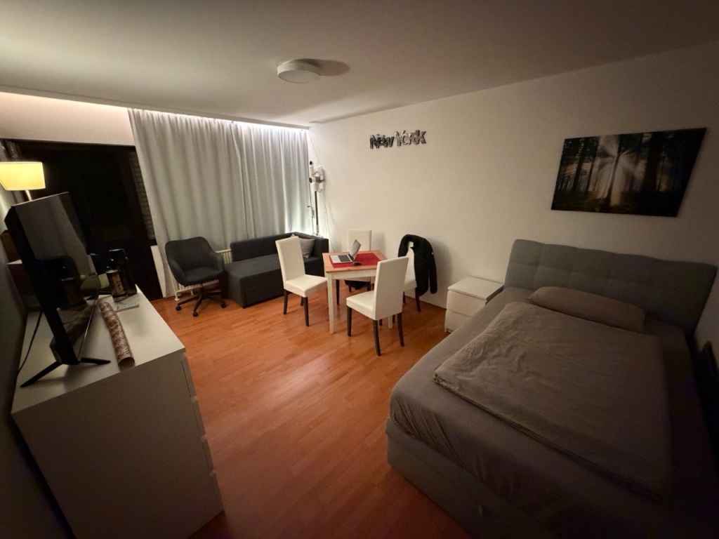 Möbliertes 1-Zimmer-Apartment mit Balkon in Frankfurt-Sachsenhausen, nahe Südbahnhof – 60598 Frankfurt am Main Sachsenhausen – Vorschaubild 8