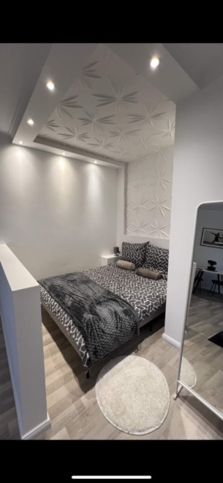Appartement meublé de 1 pièces, env. 55 m2 à Berlin-Mitte – Tout compris avec balcon/terrasse — photo 1