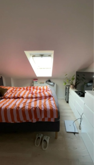 Anzeigenbild: Altbau WG-Zimmer