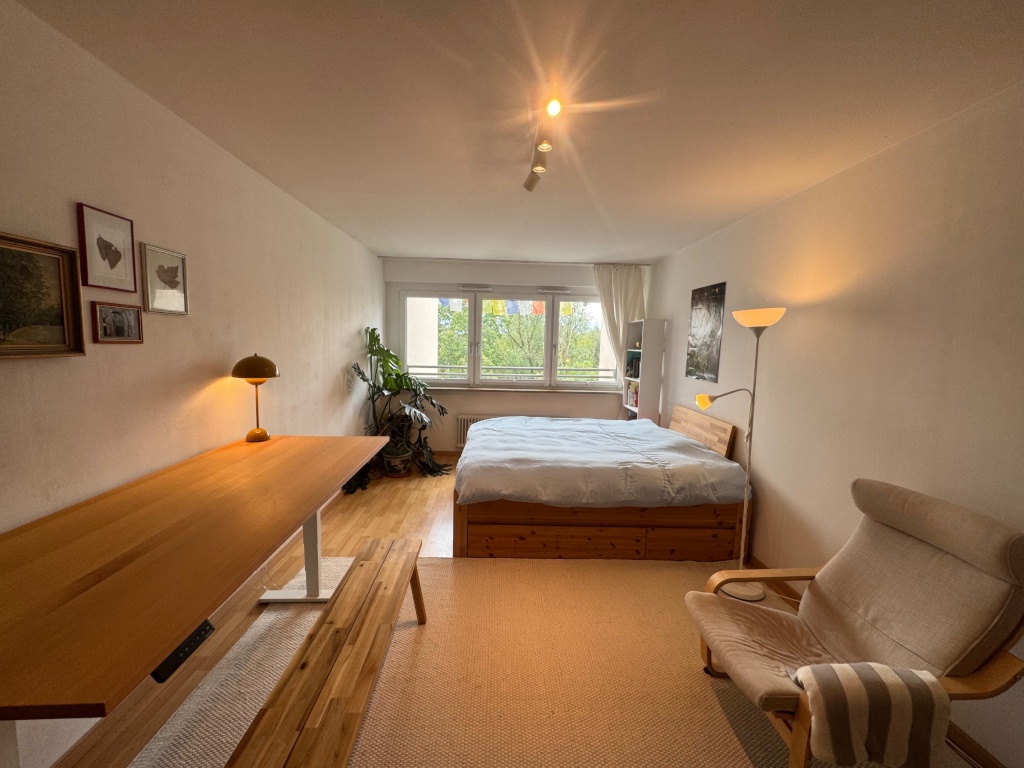 1-Zimmer Wohnung in bester Lage für 4 Monate zur Miete – 80469 München Ludwigsvorstadt-Isarvorstadt – Vorschaubild 7