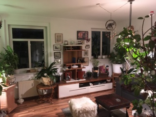 gemühtliche 2-Zimmer Wohnung mit Westbalkon in Schönefeld/Abtnaundorf