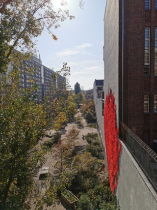 Wunderschöne, gemütliche und sonnige 3-Zimmer Altbauwohnung mit Stuck und großem Süd-Balkon — photo 1