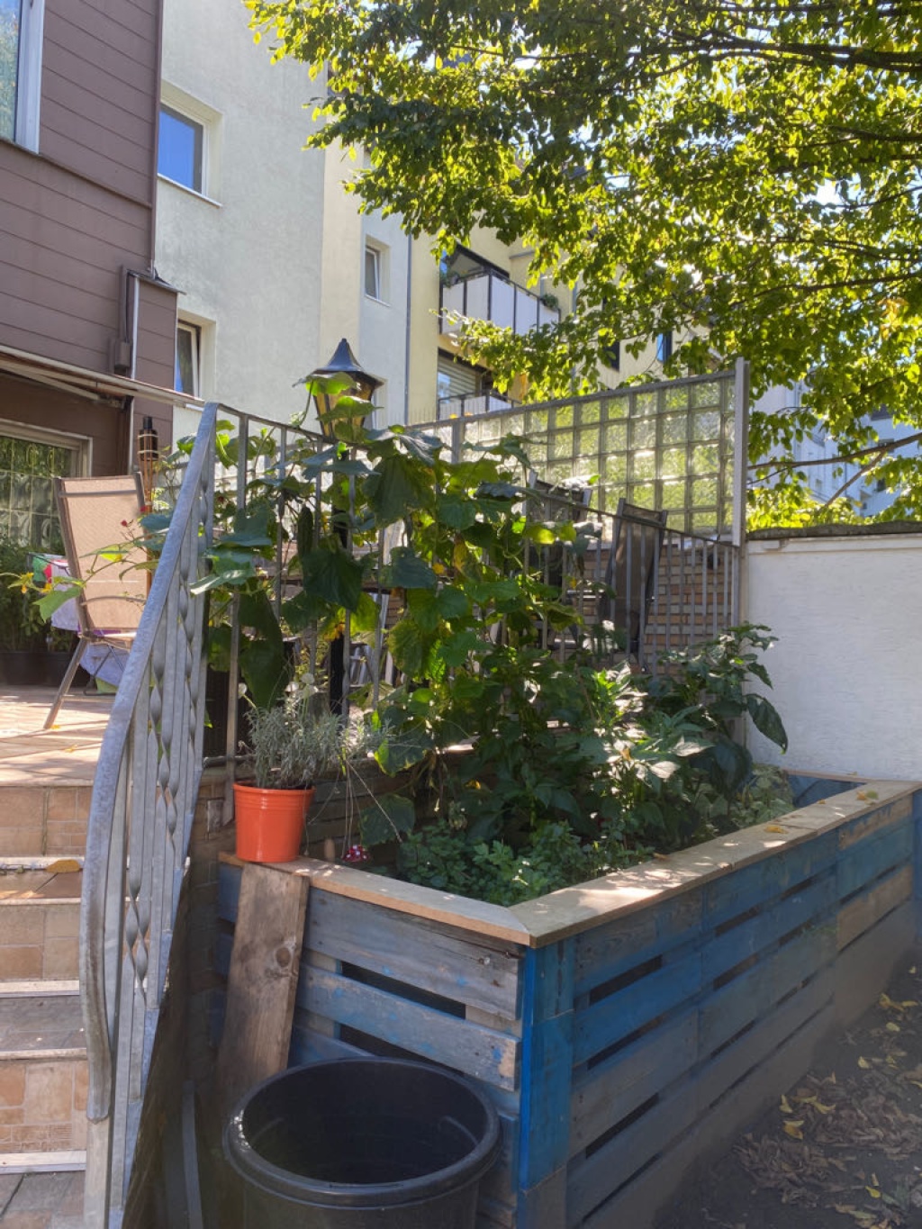 WG-Zimmer Ehrenfeld Piusstraße - Bild 19
