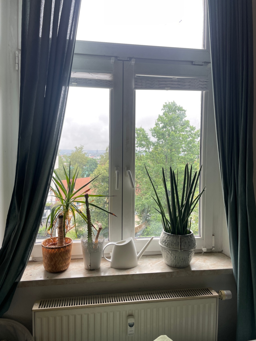 WG-Zimmer Kaßberg Enzmannstraße - Bild 2