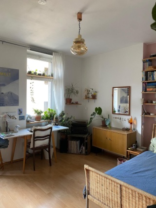 Zimmer in gemütlicher Flinta*-WG