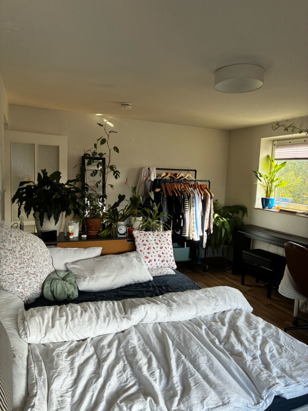1-Zimmer-Wohnung Marienvorstadt Reindelstraße - Bild 2