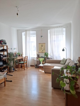 Helles Zimmer in 3er WG an der Karli