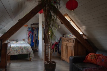 Anzeigenbild: Großes Zimmer ab November in gemütlicher Dachgeschosswohnung mit riesiger Terrasse