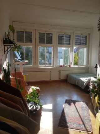 Großes Altbau-Zimmer in cooler 7er WG