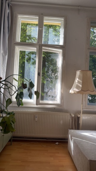 wunderschöne altbau wohnung zur untermiete — photo 1