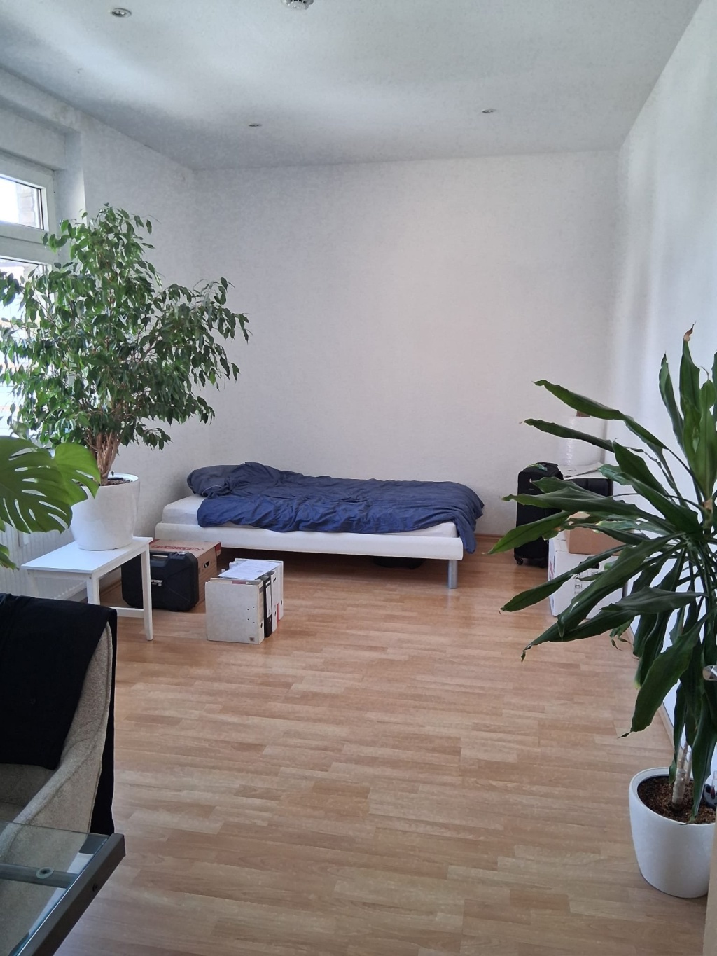 Schöne 3ZKB Altbauwohnung in ruhiger Lage mit 2 Balkonen Schwetzinger Stadt nahe Hbf und Hochschulen – 68165 Mannheim Schwetzingerstadt – Vorschaubild 8