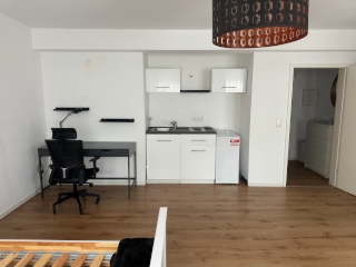 Imagen del anuncio: GALLUS: *Single Appartment* ab SOFORT !