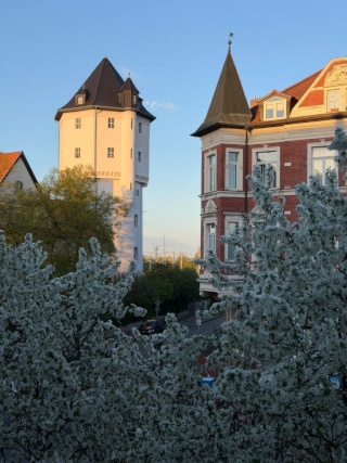 Anzeigenbild: Gemütliche 2-Zimmer-Wohnung (40 m2) – möbliert mit schönem Ausblick