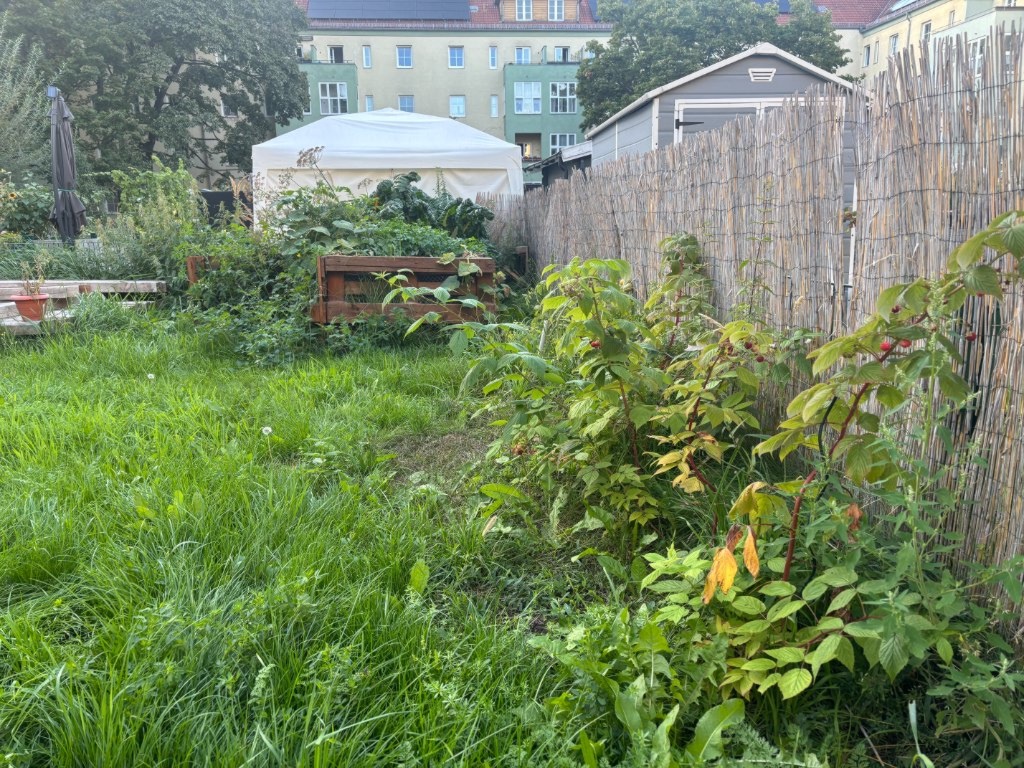 Flat Lichtenberg Simon-Bolivar Straße 10 - Garten 1.1 (Himbeeren & Hochbeet)