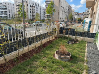Imagen del anuncio: Zweitbezug - Gartenwohnung in Bockenheim
