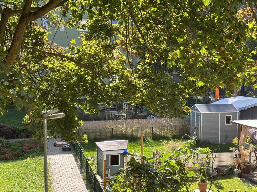 Flat Lichtenberg Simon-Bolivar Straße 10 - Garten 1.2 (Blick aus dem Wintergarten)