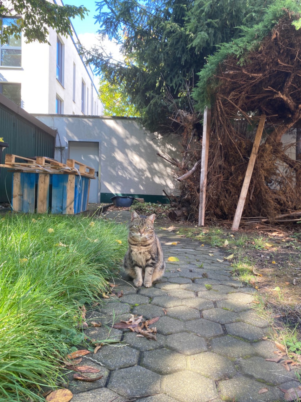 WG-Zimmer Ehrenfeld Piusstraße - Bild 20