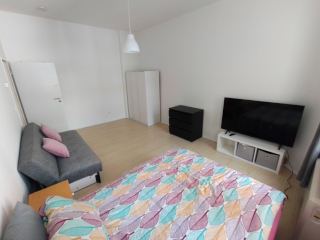 Beautiful & Bright Apartment for Long-Term Rent — photo 1