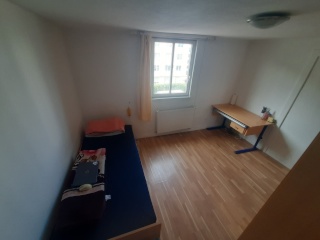Ad image: Ein Zimmer in 3er WG frei ab 1 Oktober