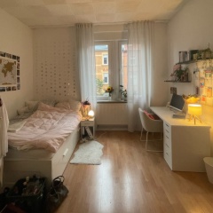 Anzeigenbild: schönes helles zimmer in super süßer wg in neckarstadt ost