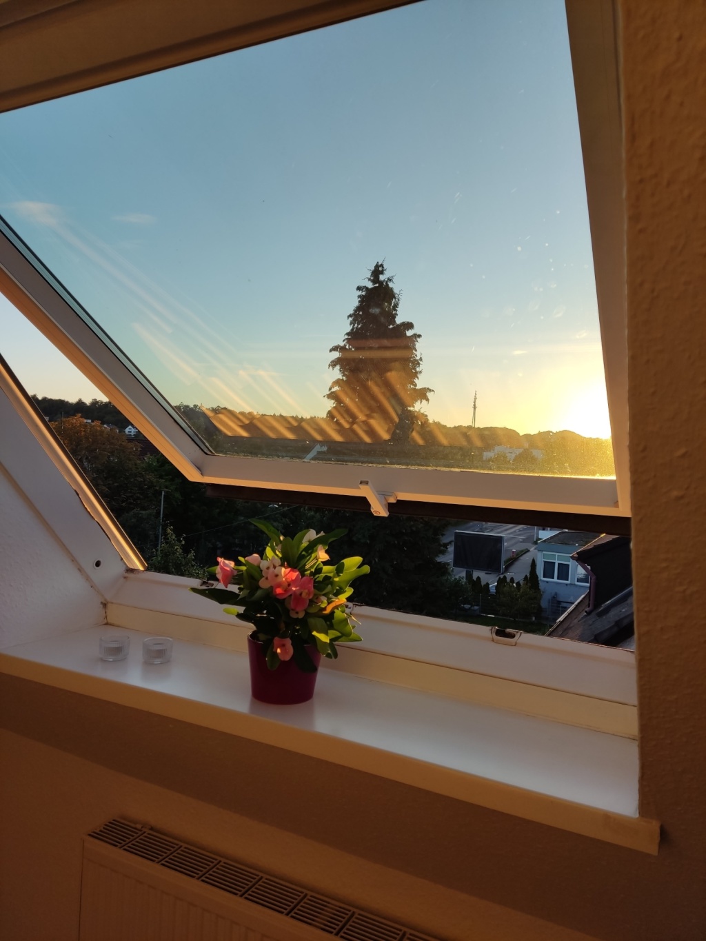 Flatshare Vaihingen Hauptstraße - picture 10