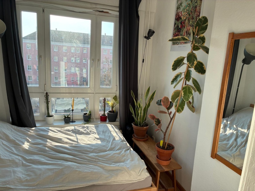 Schöne helle Zwei-Zimmer-Wohnung in Prenzlauer Berg zur Untermiete – 10407 Berlin Prenzlauer Berg – Vorschaubild 5
