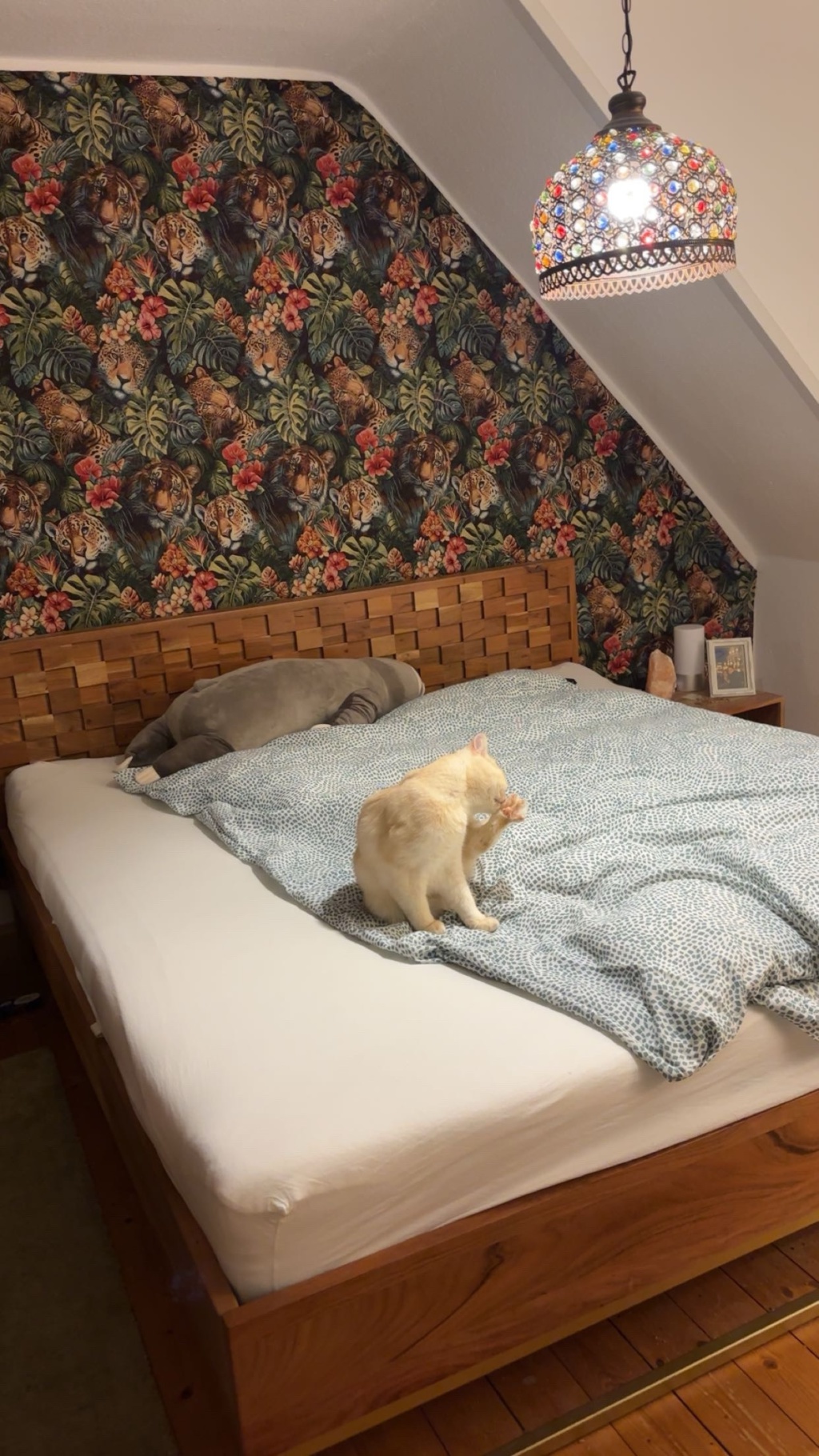 WG-Zimmer Sandhofen Leinpfad 72 - Bild 2