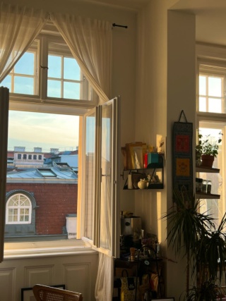 Ad image: 11m2 room - 89m2 2ppl flatshare