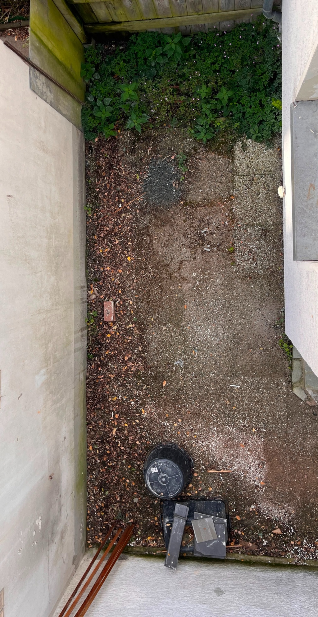 4er WG Neugründung in in einem hellen, sanierten Reihenmittelhaus – 28217 Bremen Westend – Vorschaubild 11