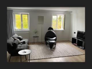 Anzeigenbild: Möblierte 1,5 Zimmer Wohnung in Sipplingen zu vermieten