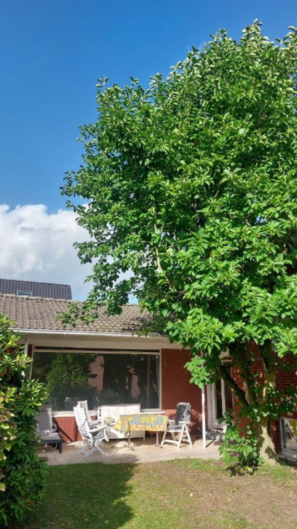 Neue Mädels-WG: 4 helle Zimmer mit Parkett in großem Haus mit Garten, 9 Min. ÖPNV bis MS-HBF, ab 1.10., ab 450 warm – 48159 Münster Sprakel – Vorschaubild 4