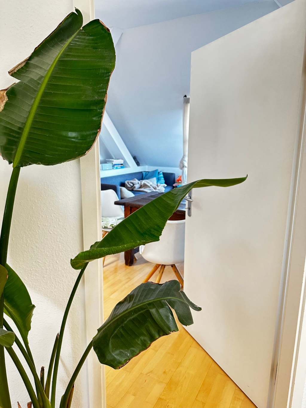 Privates Zimmer in einem hellen modernen DG, WLAN, WM, GS, Terrasse – 10585 Berlin – Vorschaubild 4