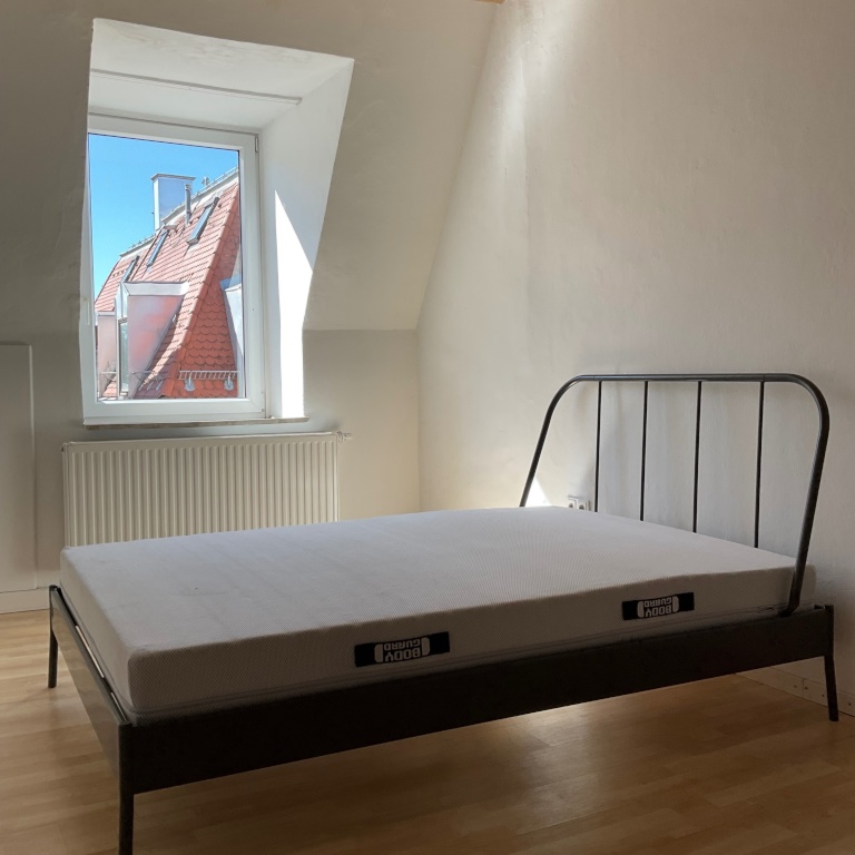 Helle 2-Zi. Altbauwohnung nahe der Isarauen – 81543 München Au-Haidhausen – Vorschaubild 6