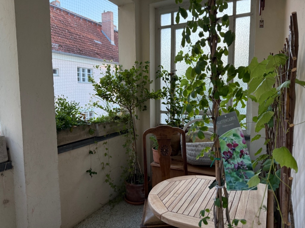 WG-Zimmer Zehlendorf Am Weißen Steg 4 - Balkon. Hier kannst du Kräuter und Beeren ernten.