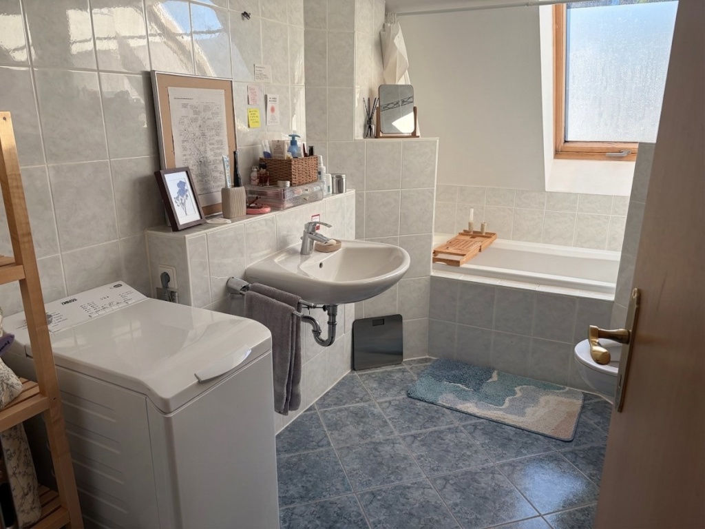1-month Studio in Schleussig – 4229 Leipzig Leipzig – Vorschaubild 2