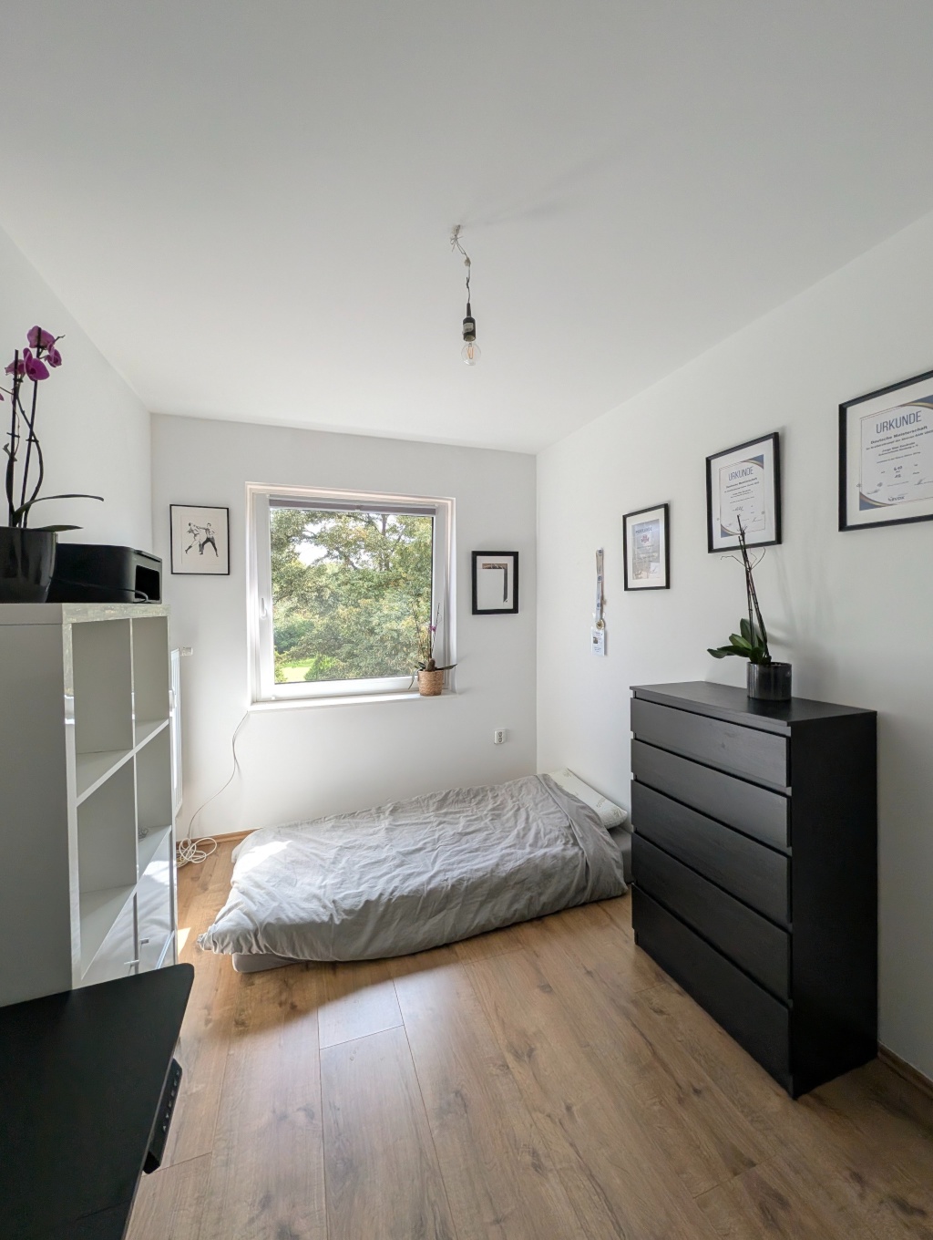 Helles 12,5m2 Zimmer in moderner 70m2 Wohnung in Wandsbek (+ Garage & Keller) – Foto 17