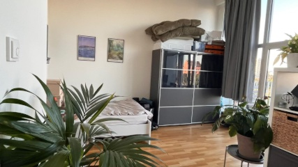 Anzeigenbild: Mitte: Großes Zimmer mit Flussblick - large room with river view for sublet