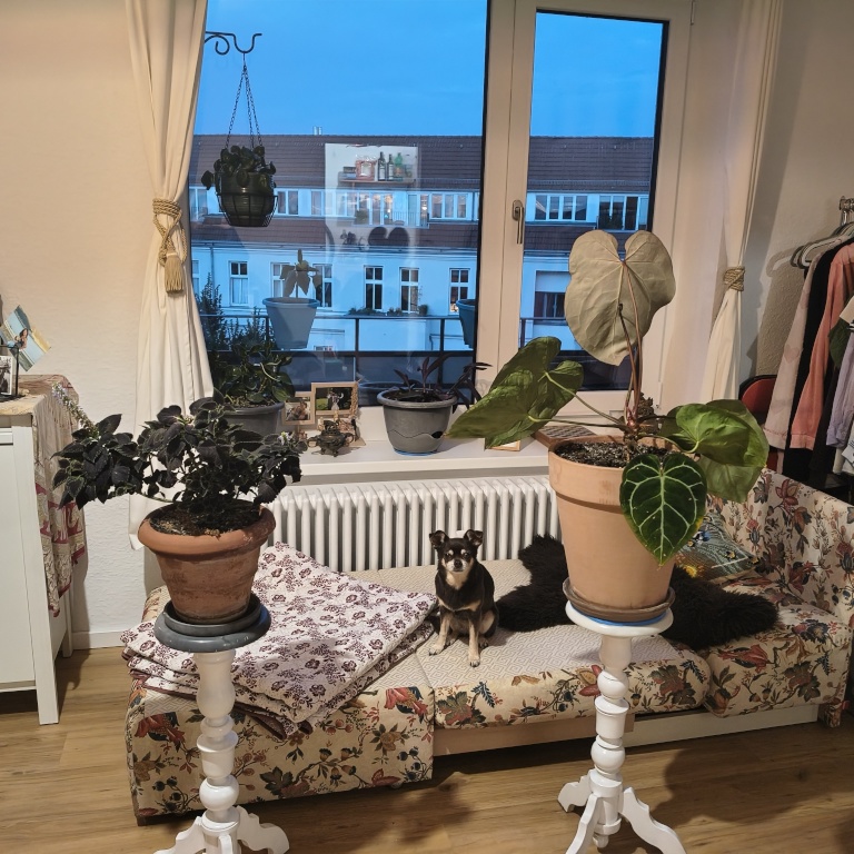 1-Zimmer-Wohnung Charlottenburg-Wilmersdorf Bamberger Straße - Bild 20