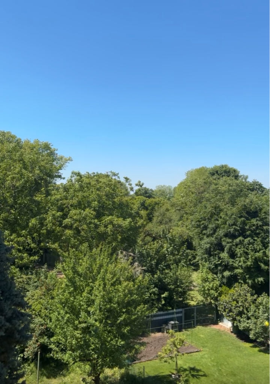 WG-Zimmer Sandhofen Leinpfad 72 - Bild 5